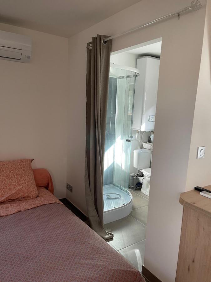 Studio indépendant - Terrasse, jaccuzi, et piscine Restinclieres Exterior foto